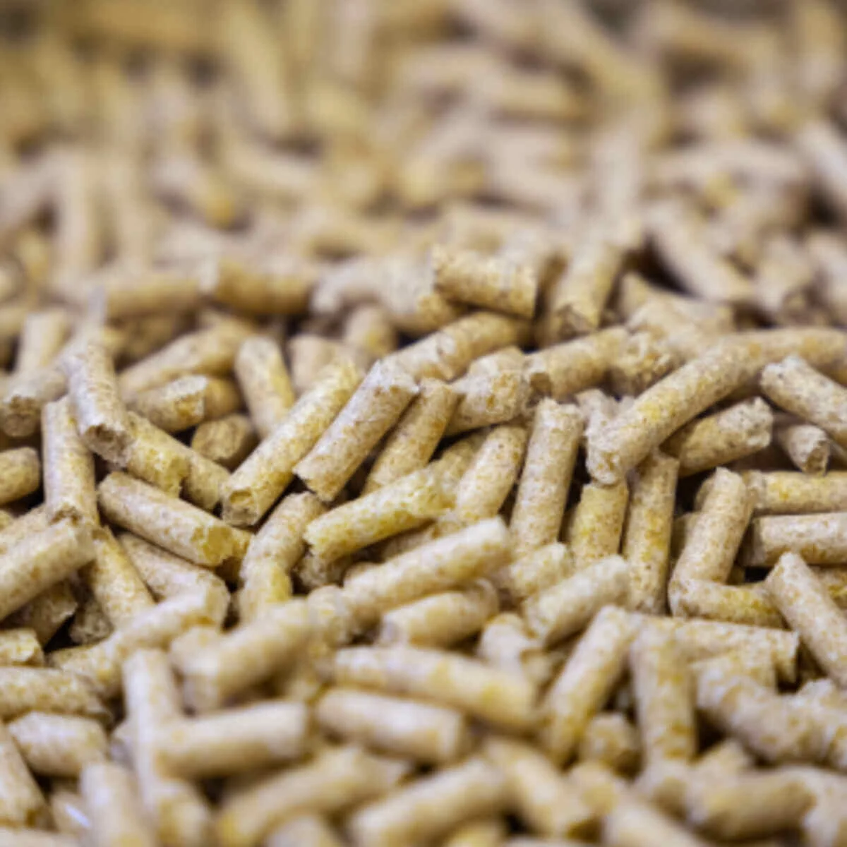 Banana peel slow-release pellets
