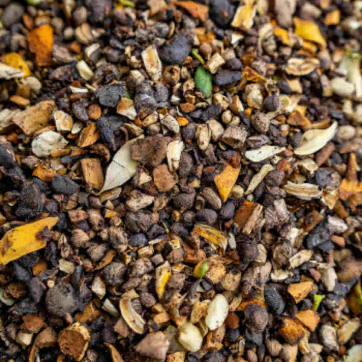 Blended banana peel plant feed