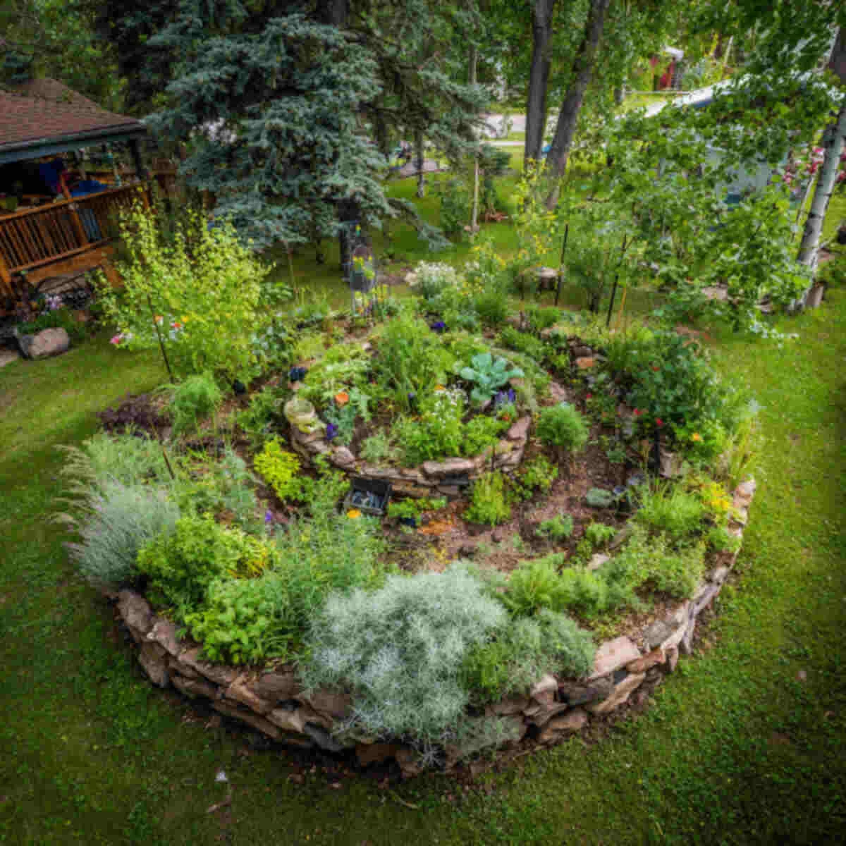 Herb Spiral Food Forest