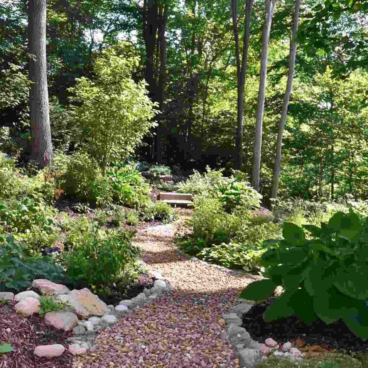 Woodland Native Shrub Garden