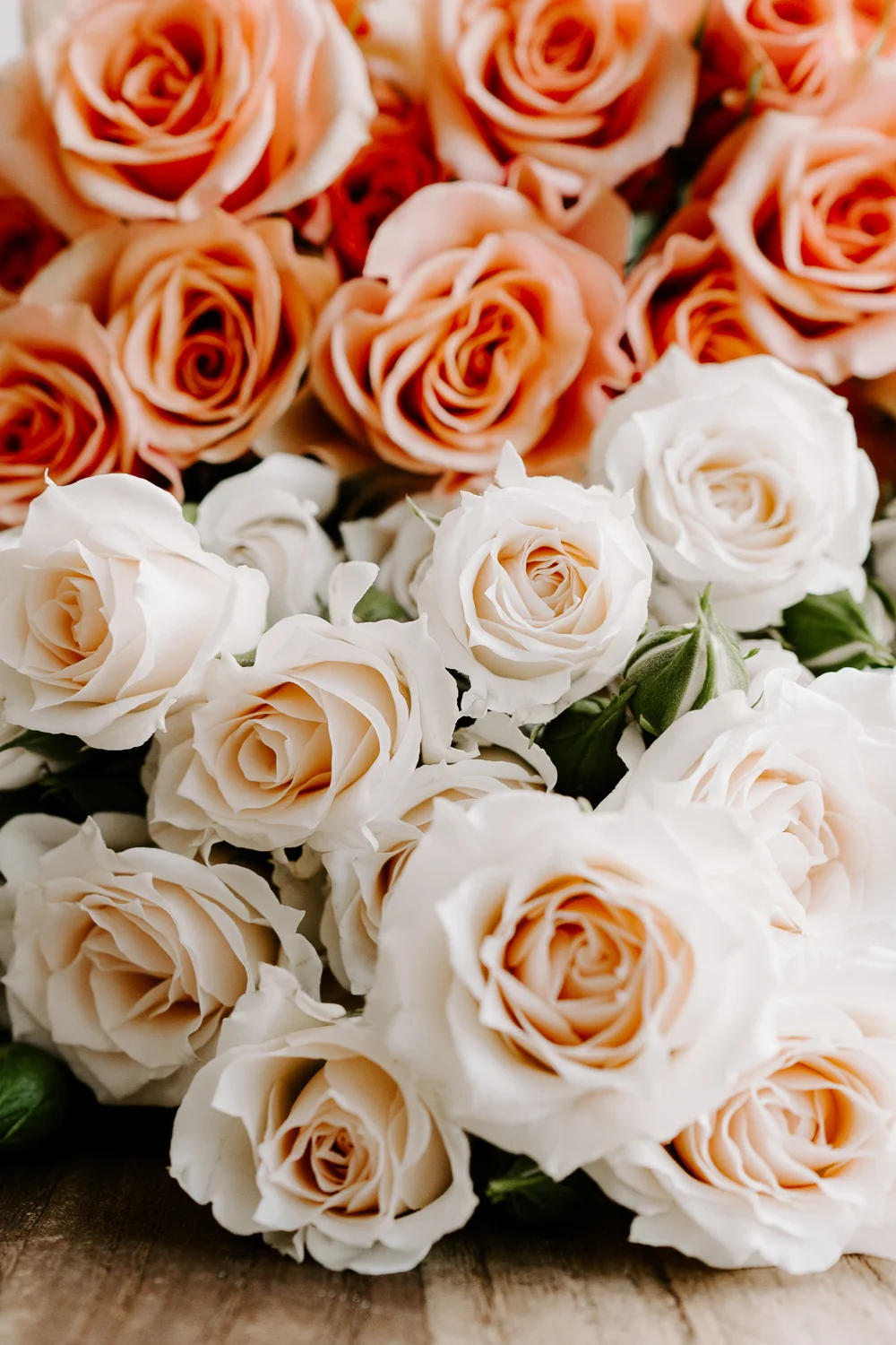 A floral arrangement of roses.