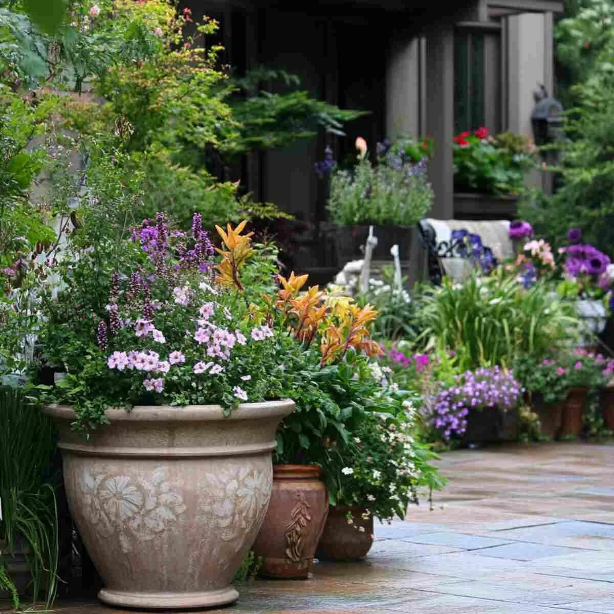 Container Gardens with Heavy Pots