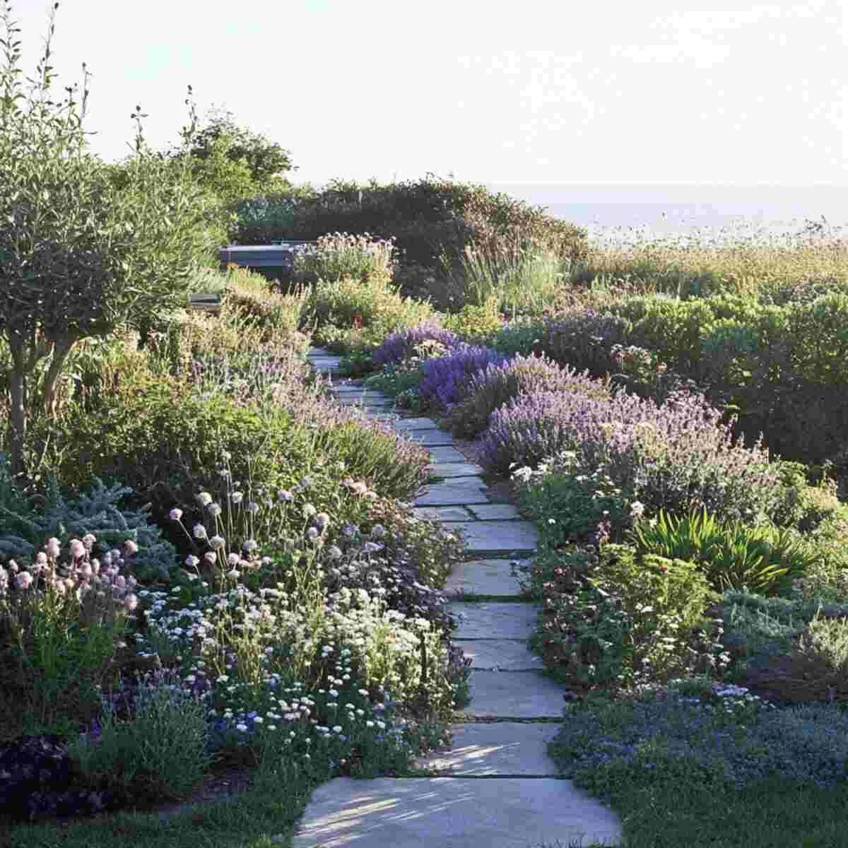 Coastal Plants Garden