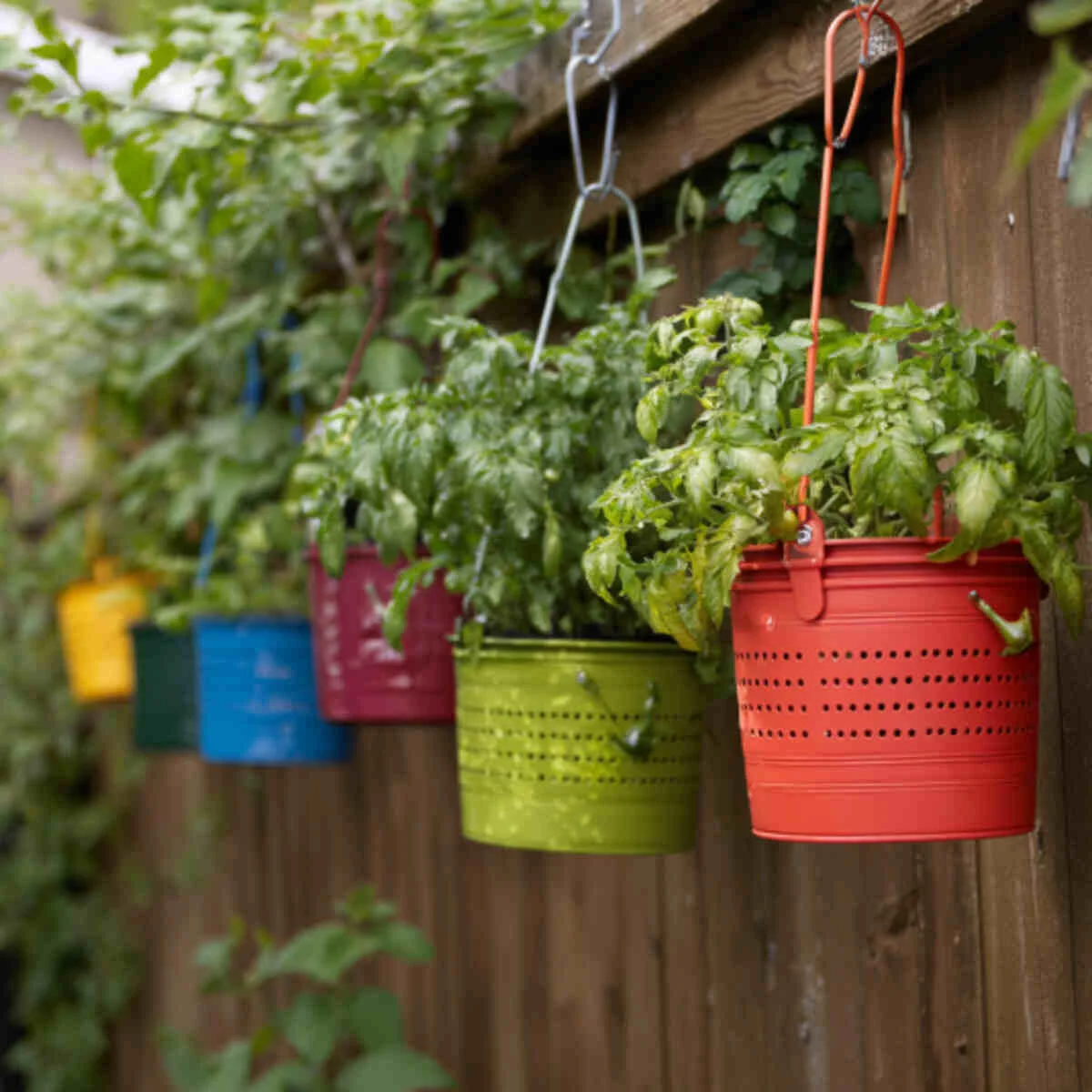 Hanging Bucket with Drainage Holes