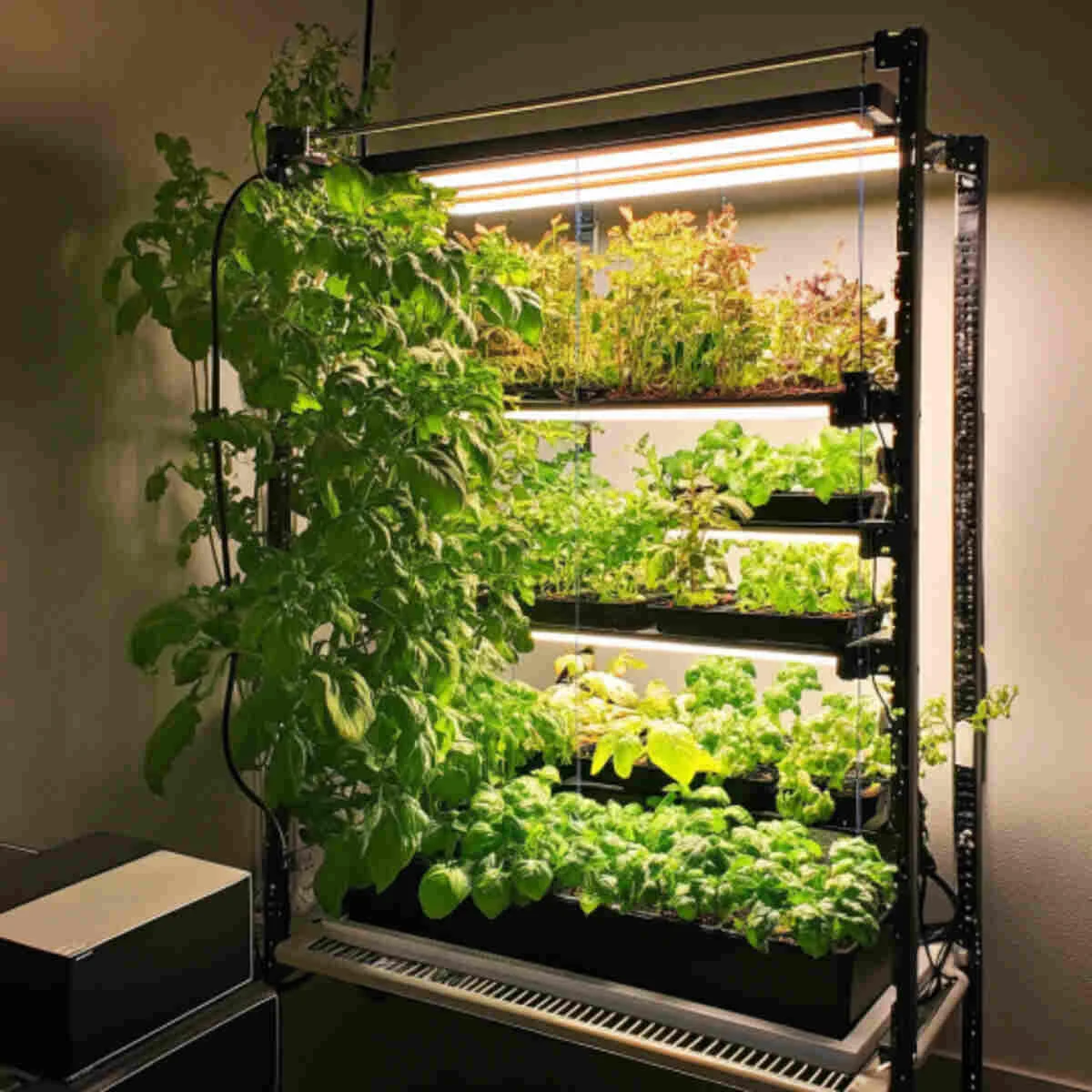 Hydroponic growing rack