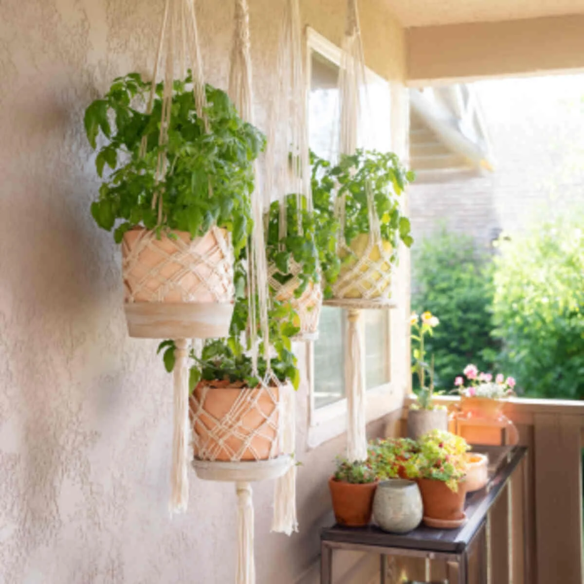 Macramé Plant Hanger with Plastic Pot