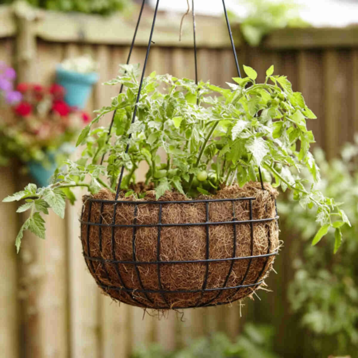 Wire Basket with Coconut Coir Liner
