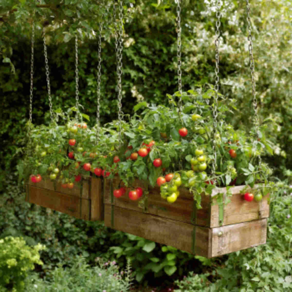 Wooden Crate with Chain Suspension