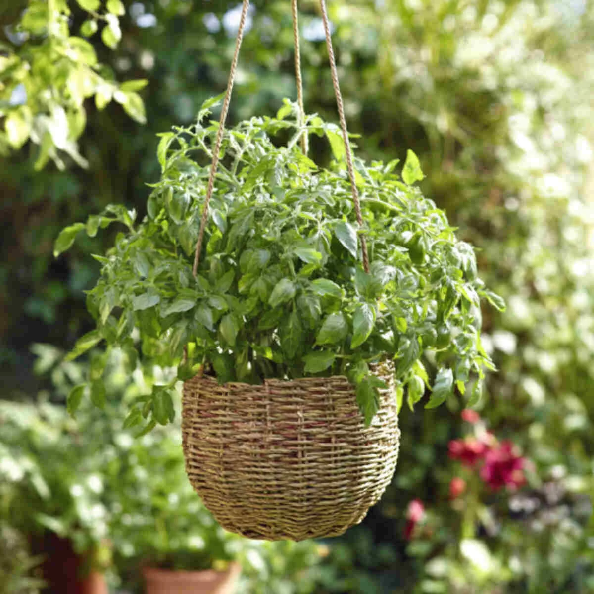 Woven Basket with Inner Pot Insert