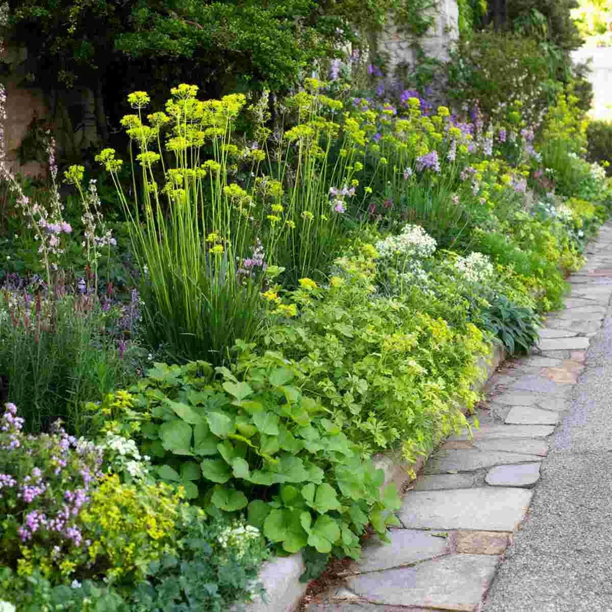 Rue Strip