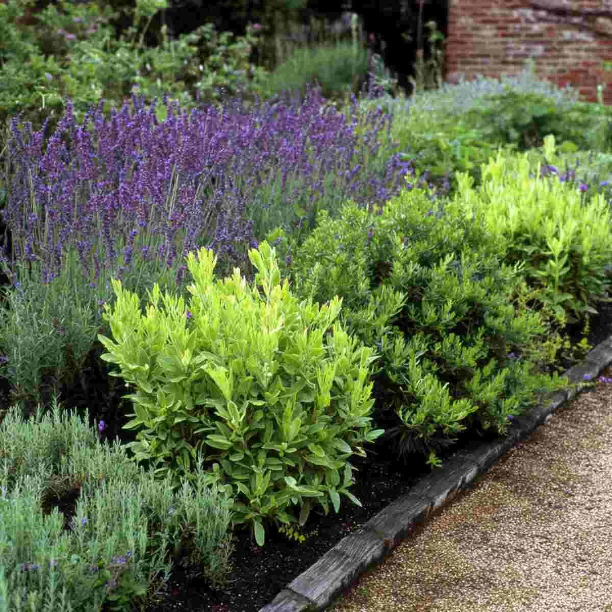 Wormwood Margin