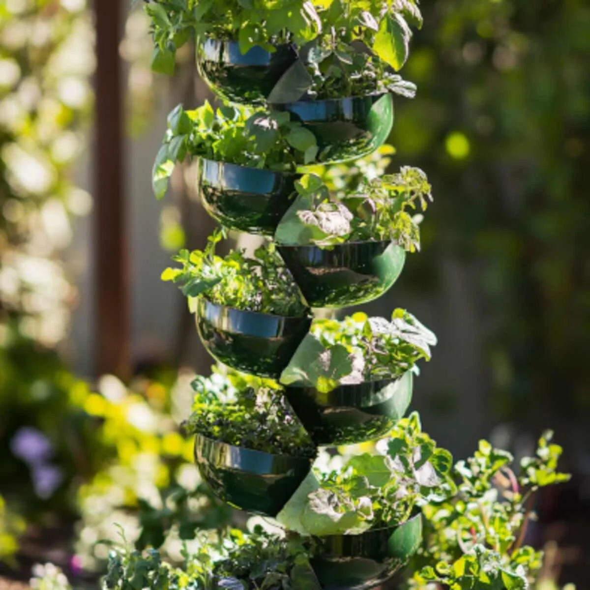 Recycled Bottle Herb Spiral