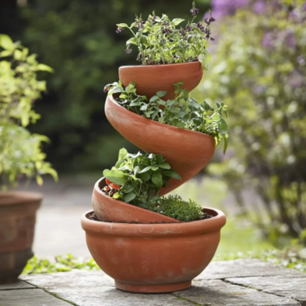 Terracotta Pot Herb Spiral