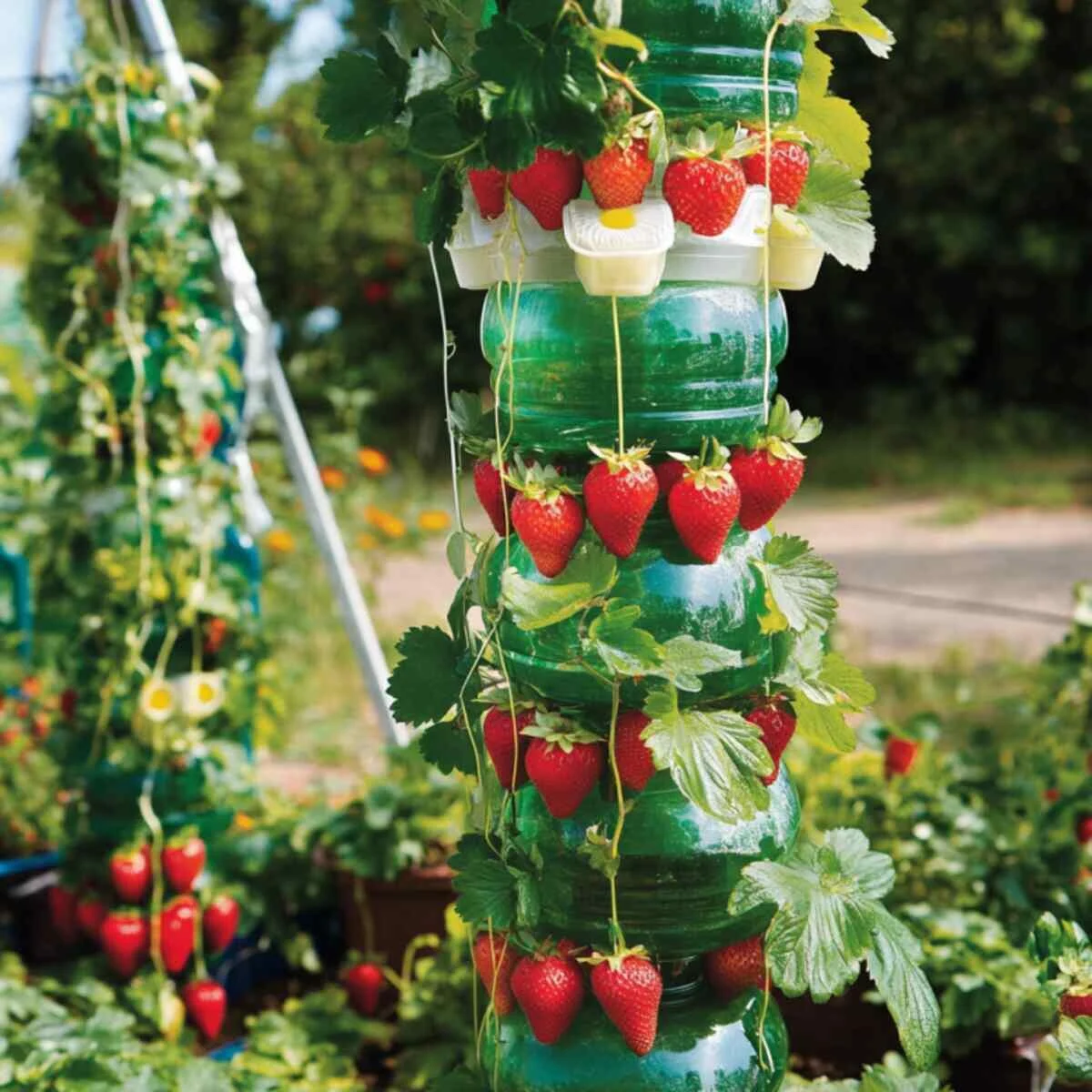 Recycled Plastic Bottle Tower